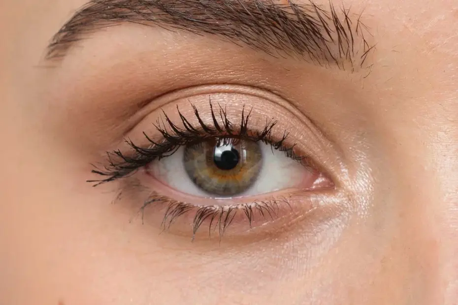 Common Eyeshadow Mistake: Skipping the Transition Shade | Easy Fix for Beginners