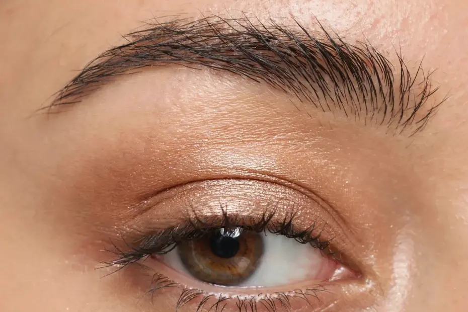 Everyday Eye Makeup Tutorial – Soft Neutral Look for Work